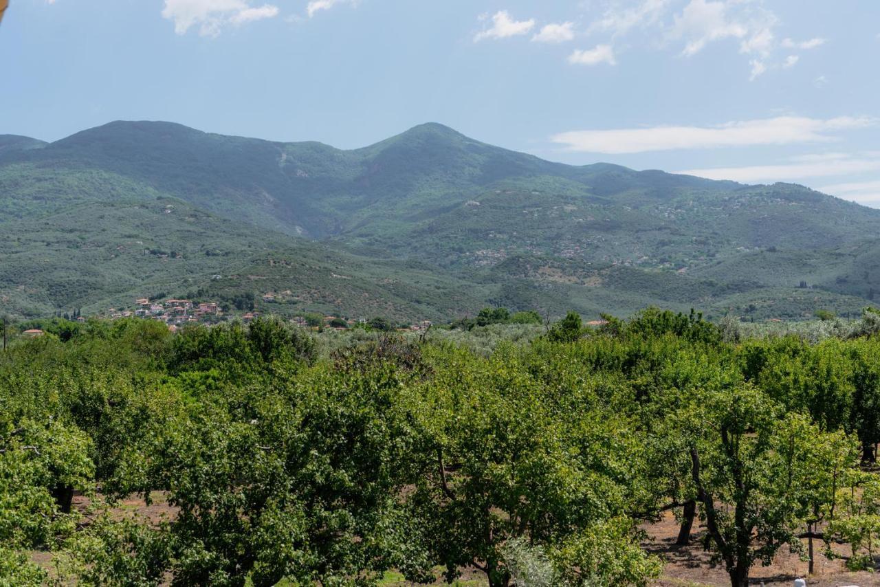 Вилла Karavos Grove Kato Lekhonia Экстерьер фото